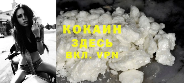 шишки Аркадак