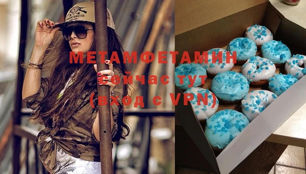 шишки Аркадак
