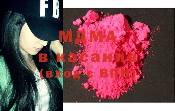 шишки Аркадак