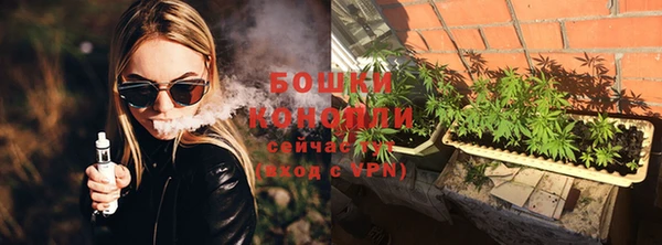 шишки Аркадак