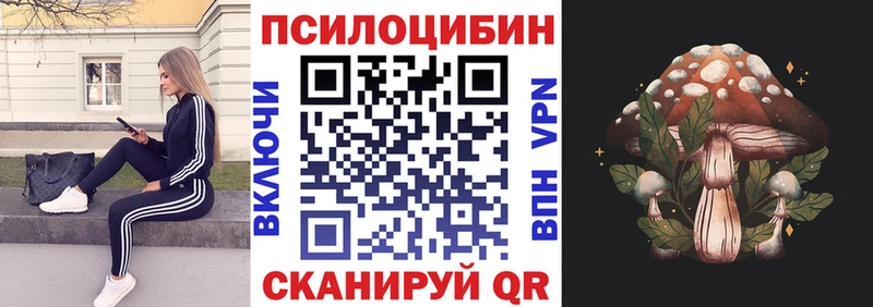 darknet наркотические препараты  цены   Оханск  Псилоцибиновые грибы Psilocybe 